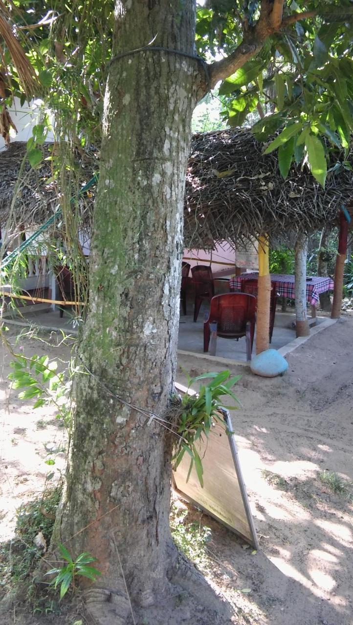 Thevindu Guest & Redmud Resturent Banduramulla Ngoại thất bức ảnh