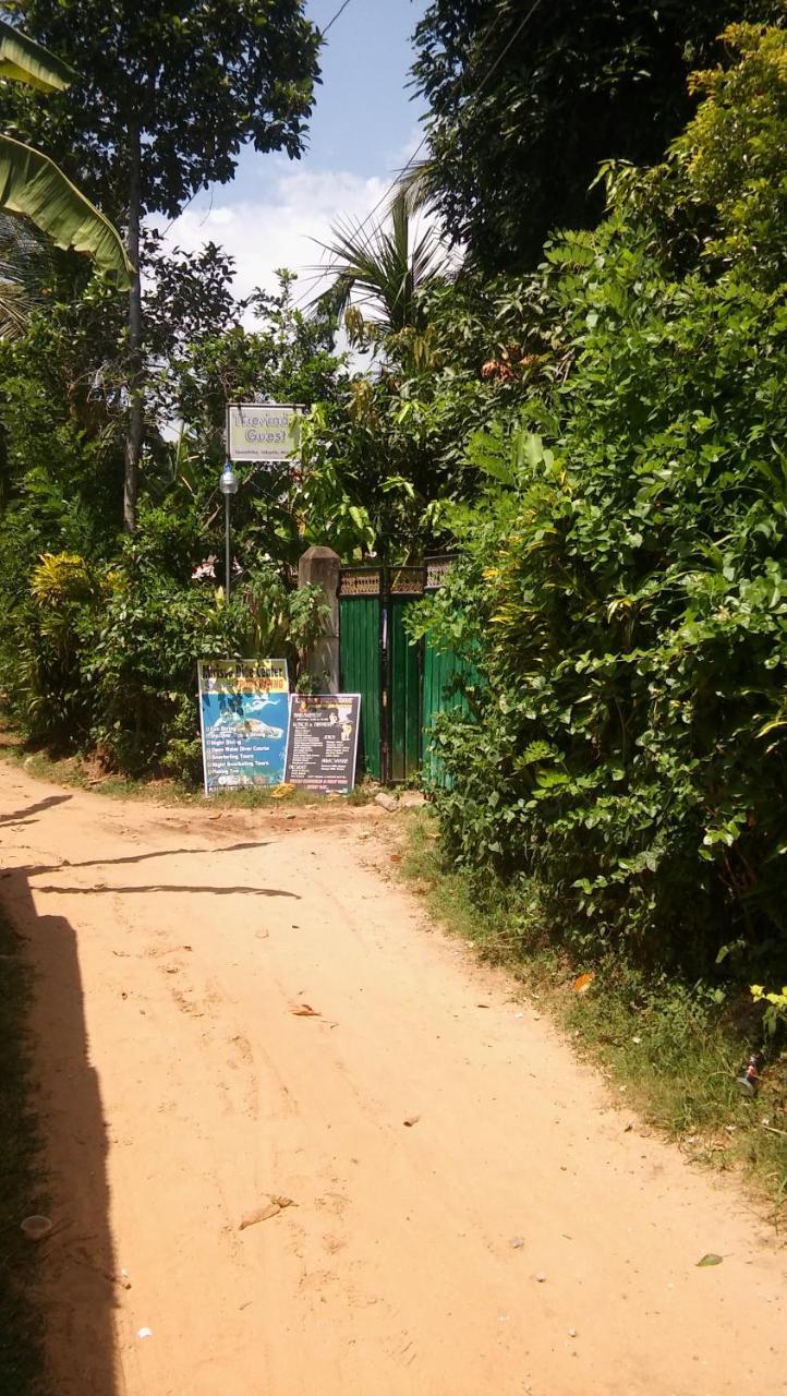 Thevindu Guest & Redmud Resturent Banduramulla Ngoại thất bức ảnh