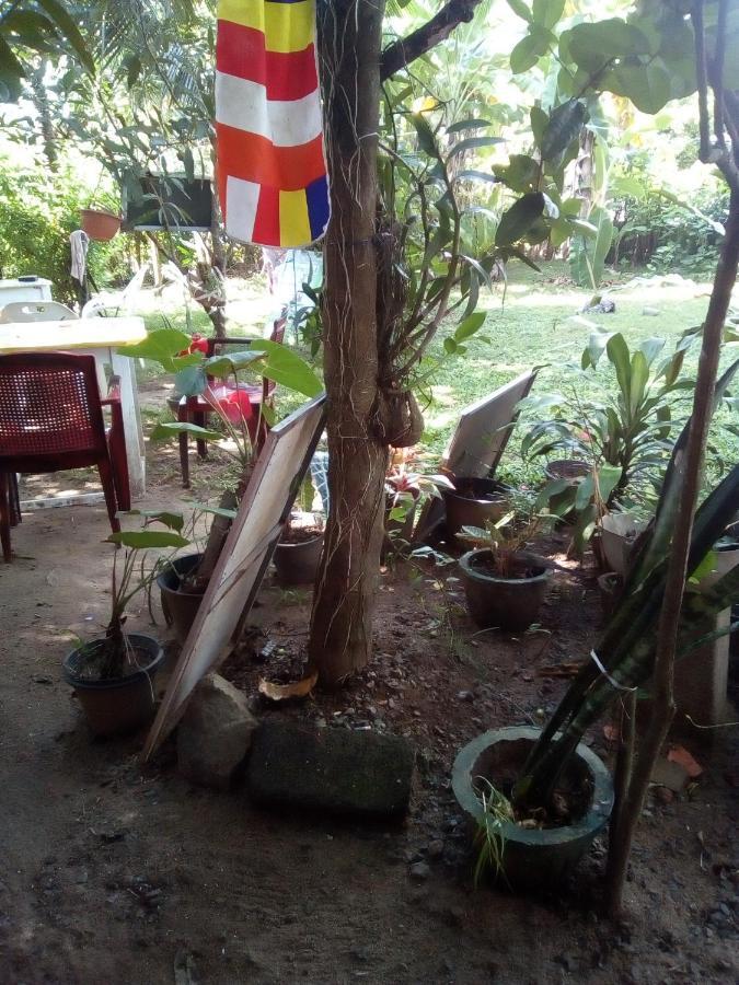 Thevindu Guest & Redmud Resturent Banduramulla Ngoại thất bức ảnh